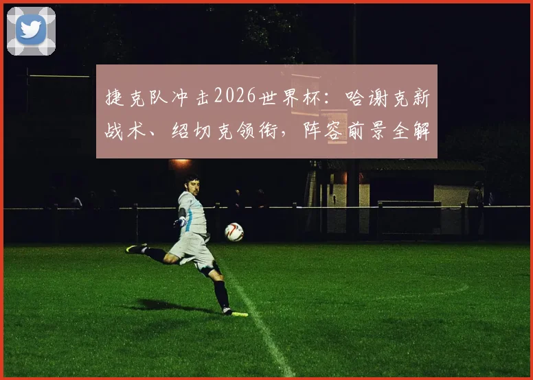 捷克队冲击2026世界杯:哈谢克新战术、绍切克领衔,阵容前景全解析